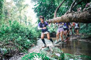 BIB: 
                            <button type="button" onclick="openModal(25457637)" class="btn btn-primary btn-sm float-right btn-popup" data-toggle="modal" data-target=".modal-high-quality">
                        <i class="fas fa-shopping-cart"></i> Add to Cart
                    </button>
                                            <button type="button" onclick="isThisMe(25457637, true)" class="btn btn-success btn-sm float-right btn-popup btn-isme hidden" data-toggle="tooltip" data-placement="bottom" title="นี่คือรูปของคุณใช่ไหม คลิกที่นี่เพื่อเอาเข้าอัลบั้ม">
                        <i class="fas fa-plus"></i> Add to album
                    </button>
                    <button type="button" onclick="isThisMe(25457637, false)" class="btn btn-warning btn-sm float-right btn-popup btn-isnotme hidden">
                        <i class="fas fa-ban"></i> Remove from album
                    </button>